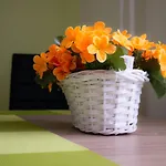 Pod Ledovcem Apartment