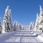 Pod Ledovcem *