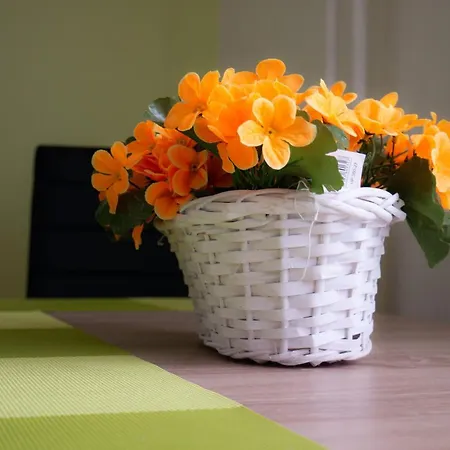 Pod Ledovcem Apartment