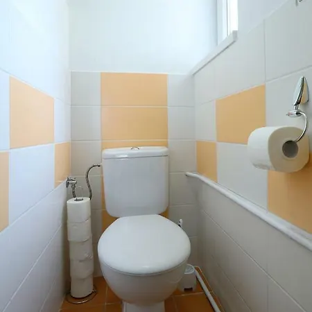 Pod Ledovcem Apartment *