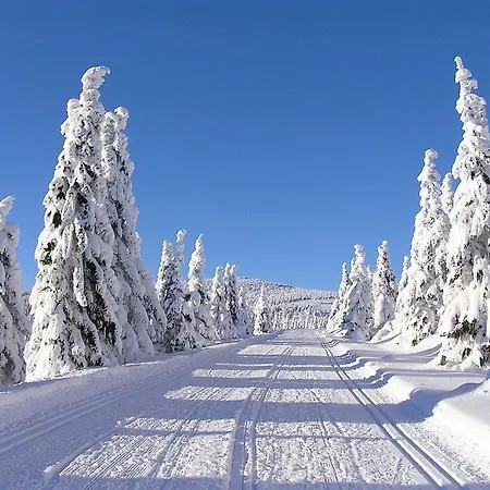 Pod Ledovcem *