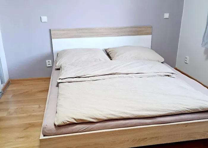 Pod Ledovcem
